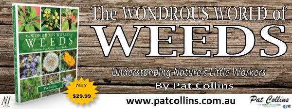 Pats-Books-with-text.jpg Pats-Books-with-text.jpg